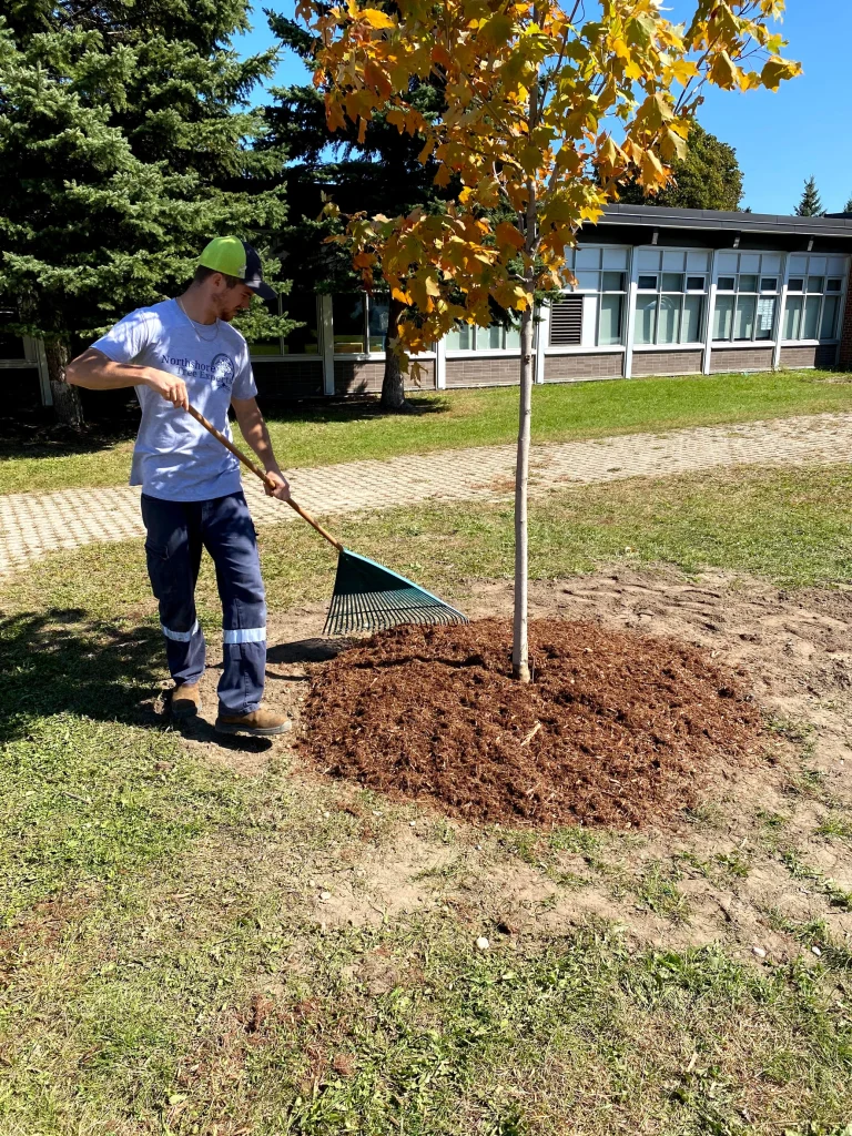 Tree fertilization service improving soil nutrients and growth