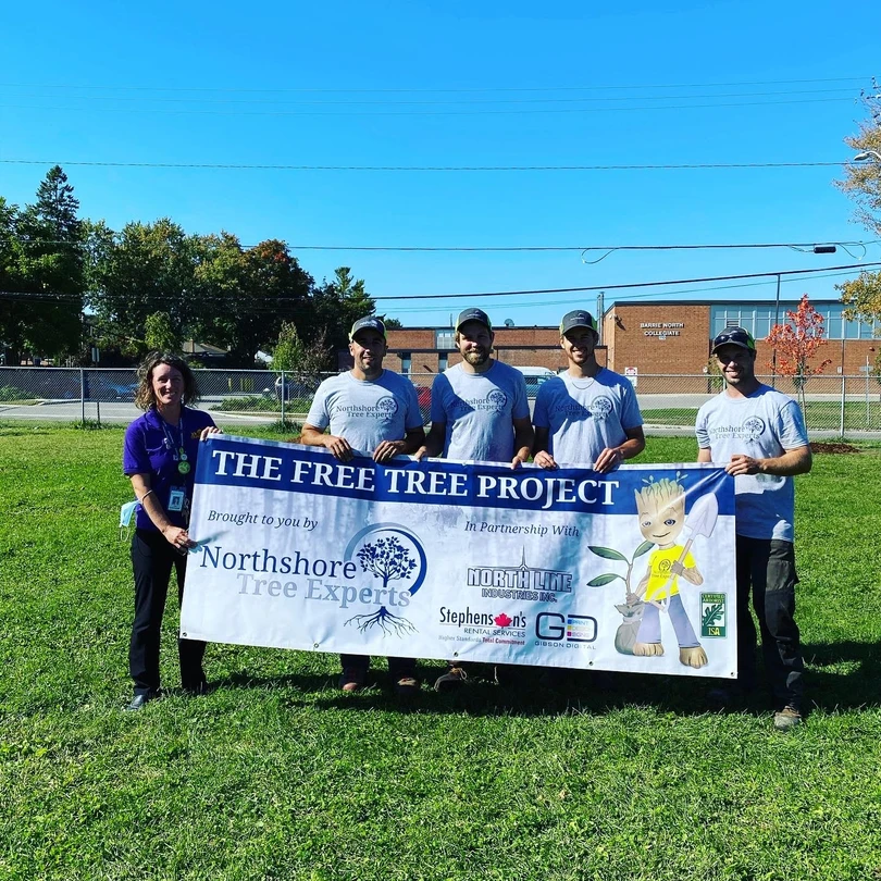 Apply for Our Free Tree Project in Barrie