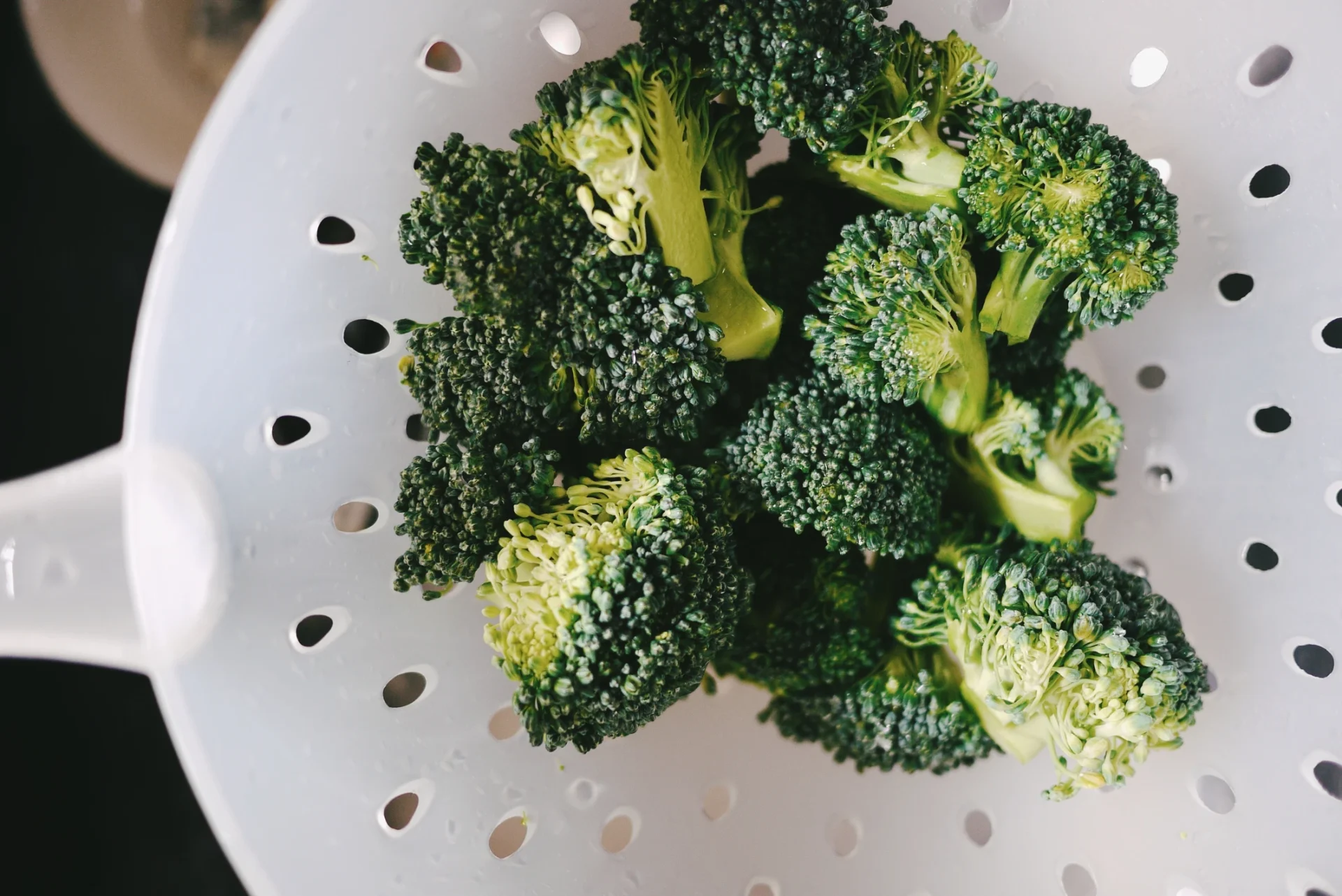 fresh broccoli plant growing in garden with green healthy florets