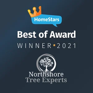 HomeStarts best Winner 2021 - Northshore