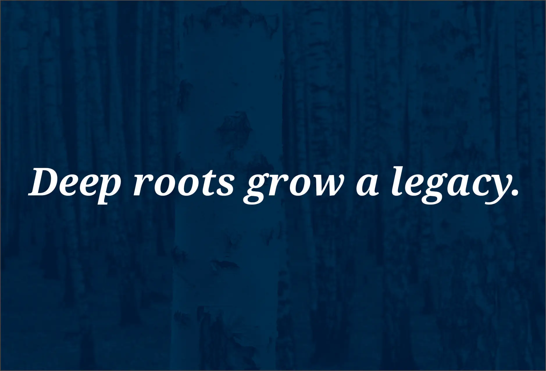 Deep roots grow a legacy text displayed over a dark blue forest background with tree trunks