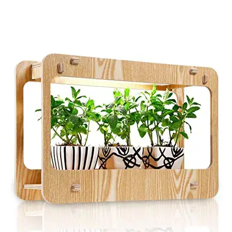Indoor herb garden growing fresh herbs at home