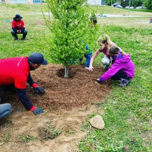 Free Tree Day event promoting community tree planting initiative