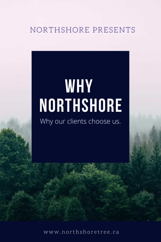 Northshore presents why clients choose Northshore