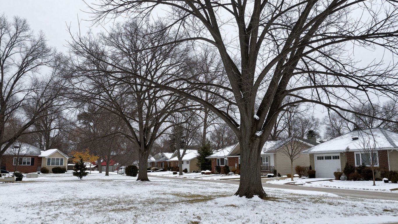 When Is the Best Time to Trim a Tree in Barrie?