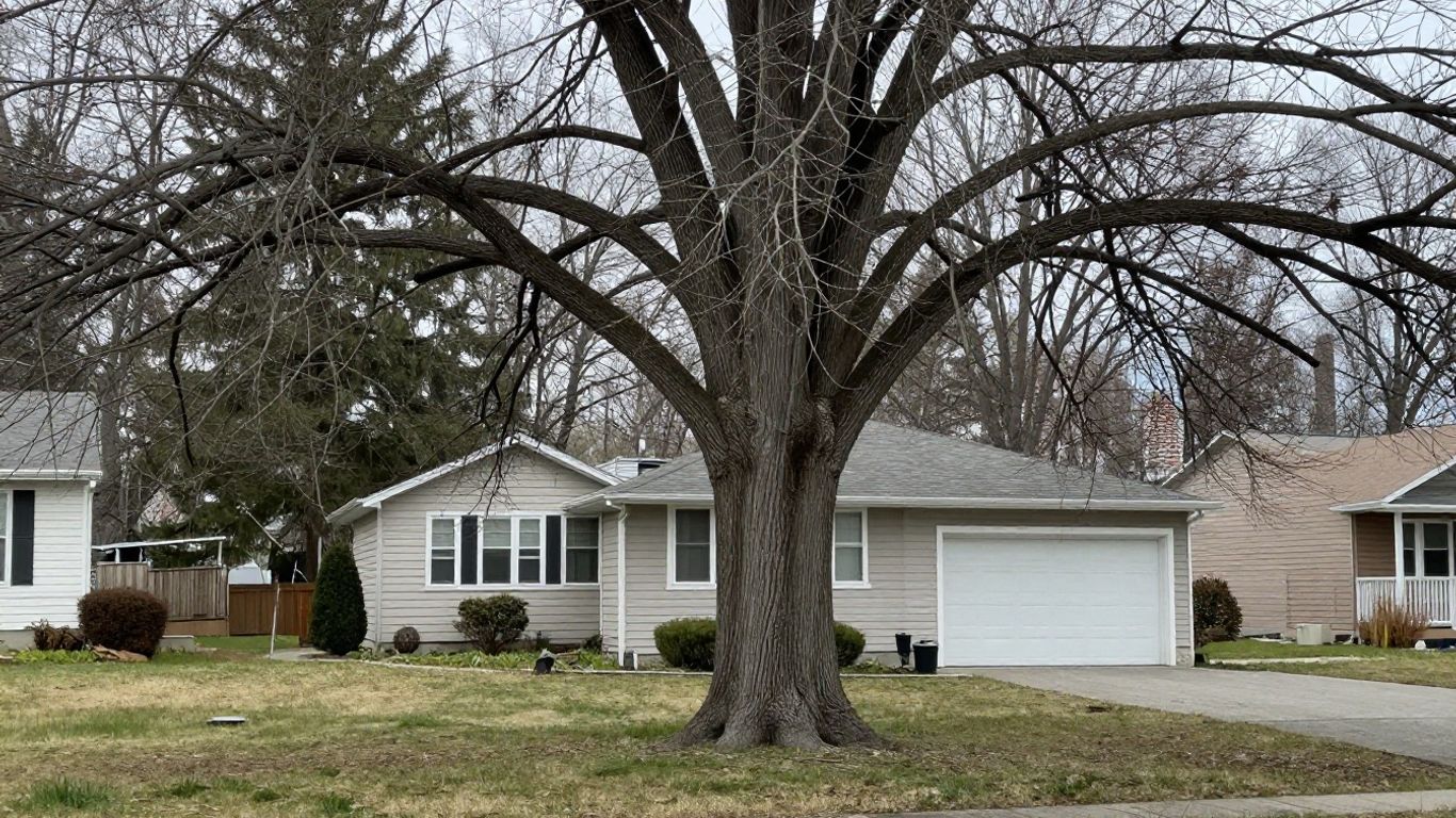 Large declining tree beside a residential yard